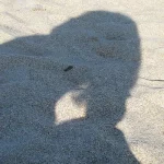 Lire la suite à propos de l’article Quand la fatigue devient chronique et problématique