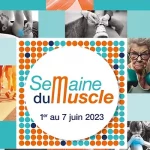 Lire la suite à propos de l’article Pourquoi les muscles sont-ils essentiels à notre santé ?