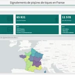 Lire la suite à propos de l’article Un outil pour suivre les signalements de piqûres de tiques