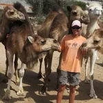 Lire la suite à propos de l’article Le dromadaire a une sacrée bosse écolo