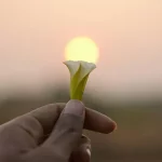 Lire la suite à propos de l’article Le pouce, doigt des prouesses