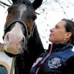 Lire la suite à propos de l’article Mon émirat pour un cheval
