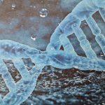 Lire la suite à propos de l’article Comment nos gènes influencent-ils notre santé ?