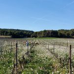 Et si les agriculteurs étaient payés pour protéger l’environnement ?