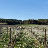 Et si les agriculteurs étaient payés pour protéger l’environnement ?