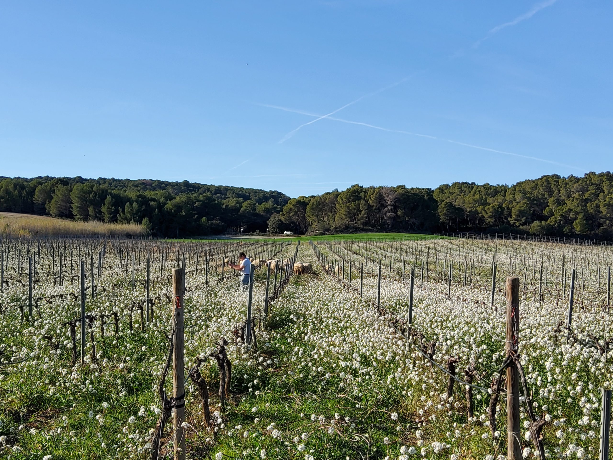 You are currently viewing Et si les agriculteurs étaient payés pour protéger l’environnement ?